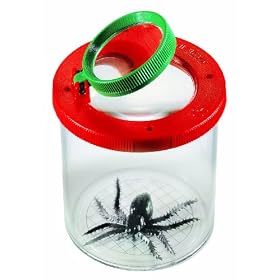 Bug Box