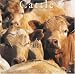2008 Cattle Calendar