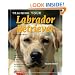 Training Your Labrador Retriever
