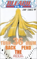 Bleach, Volume 36 (in Japanese)