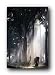 AWAY FROM THE HERD ELEPHANT IN JUNGLE POSTER PP31487 A