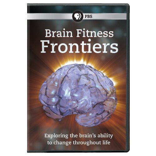brain fitness program