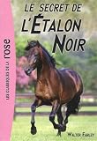 Le secret de l'�talon noir