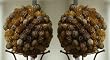 Natural Banaba and Sunflower Seed Decorative Balls (set of 2)