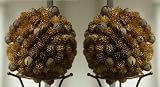 Natural Banaba and Sunflower Seed Decorative Balls (set of 2)