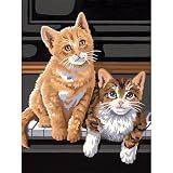 Eigenschaften Dimensions / Malen nach Zahlen Keyboard Kittens