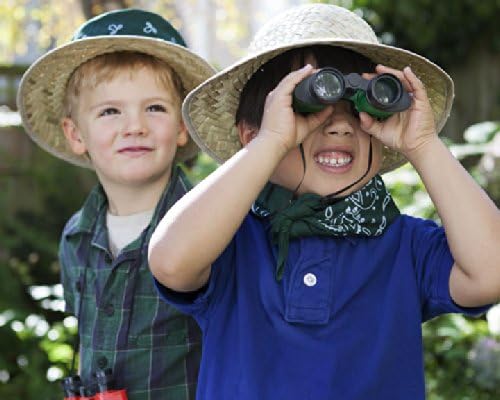 Dinosaur Safari Birthday Party Package