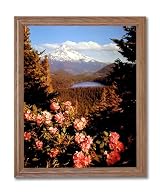 Mount Hood Lake Trees Flowers Landscape Home Decor Wall Picture Oak Framed Art Print