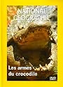National Geographic : Les Armes du crocodile