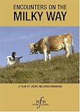 Encounters on the Milky Way
