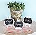 Framed Chalkboard Place Cards with Easel - Set of Three