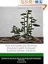 The History of Bonsai, Penjing and Topiary Landscaping Design