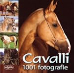 Cavalli