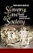 Slavery, Law & Society in the British Windward Islands 1763-1823: A Comparative Study