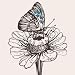 Hand Drawn Butterfly on a Flower - High Quality Vector Darwing - 18