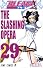 BLEACH―ブリーチ― 29 (ジャンプコミックス)
