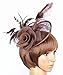 Womens Feather Mesh Fascinator Hat with Headband Brown