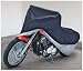 Raider Blue and Silver Motorcycle Cover
