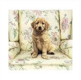 Soft Spot by Sueellen Ross,19 in. x 17.8 in.