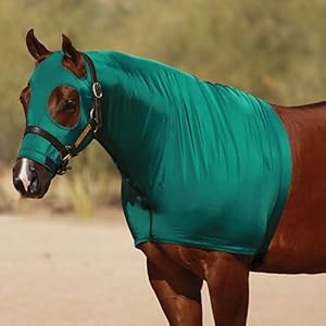 Sleazy Lycra Hood Large Black