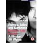 Romeo, Juliet and Darkness ( Romeo, Julia a tma ) ( Sweet Light in a Dark Room ) [ NON-USA FORMAT, PAL, Reg.0 Import - United Kingdom ]