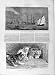 1874 American Clipper Ships Coolies Macao Kitten Cats