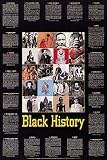 Black History (Bio and Pics) Art Poster Print - 24