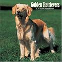 Golden Retrievers 2008 Wall Calendar