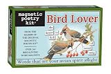 Magnets Toys
