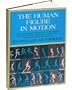 The Human Figure In Motion