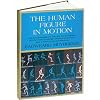 The Human Figure In Motion