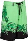 Mens Foliage Border Print Skate Surf Board Short / Swim Trunks - ( 2 Colors )