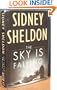 Sky Is Falling - Large Print