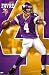 Minnesota Vikings - Brett Favre Poster Print, 22x34