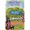 Books about living in Spain