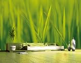Fototapete No.025 FEELING THE GRASS 400x280cm