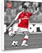 Arsenal FC 2008/09 season Cesc Fabregas 20x16 Duotone Box Canvas