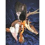 NATIVE AMERICAN INDIAN SACRED RITUAL BLESSING FEATHER CEREMONIAL PRAYER SMUDGE FAN + FRESH CALIFORNIA WHITE SAGE WANDS, Great for Private Ceremony, Pow-wow , Decor, Cleansing, or Alternative Healing