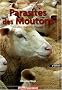 Parasites des Moutons : Pr�vention, Diagnostic, Traitement