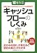 絵でみるキャッシュフローのしくみ―財務三表のつながりからファイナンスの初歩まで (絵でみるシリーズ)