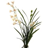 Orchidee Cymbidium Pflanze Kunstblume creme 67cm