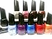 Santee 10 PC Nail Polish Set