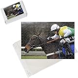 Photo Jigsaw Puzzle of Horse Racing - Beer and Balti Race Day - Fontwell Park Racecourse from PA Photos