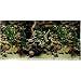 PETCO Double Sided Aquarium Background