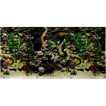 PETCO Double Sided Aquarium Background