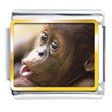 Animal Photo Goofy Monkey Italian Charms Bracelet