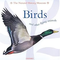 Birds And Other Flying Animals (Animal Close-ups)