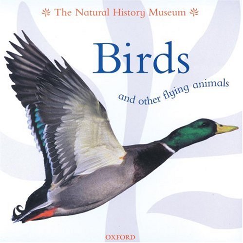 Birds And Other Flying Animals (Animal Close-ups)