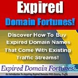 Expired Domain Fortunes - How To Pick Up An Empire Of Expired Domains w/ Targeted Traffic & Earn Passive Income! Mission-Surf