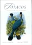 Turacos: A Natural History of the Musophagidae